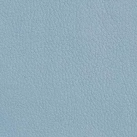 №36