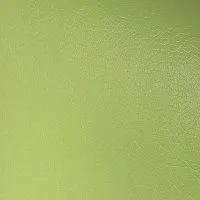 №3006