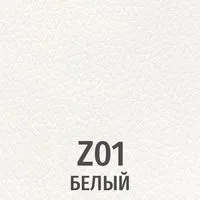 Z01