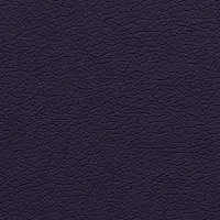 №3007