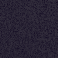 №3007